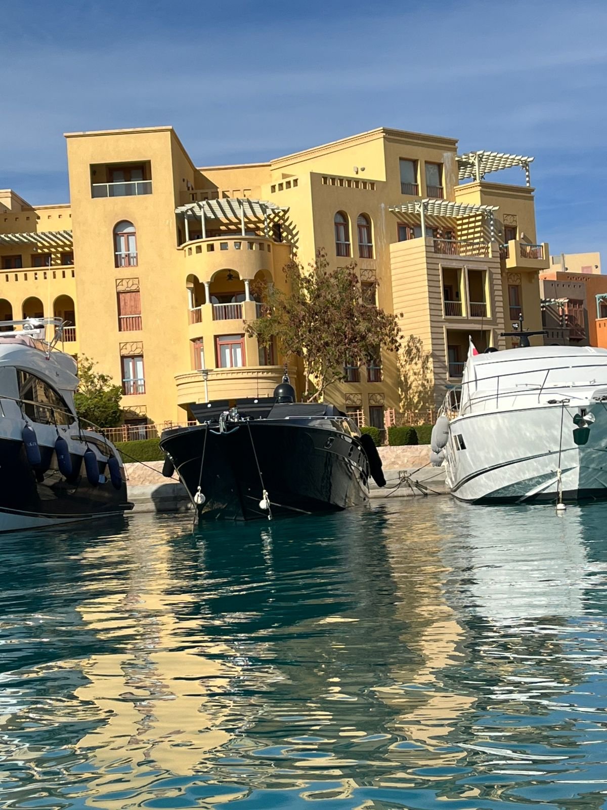 WhatsApp Image 2025-07-24 at 16.25.22_43f4c556