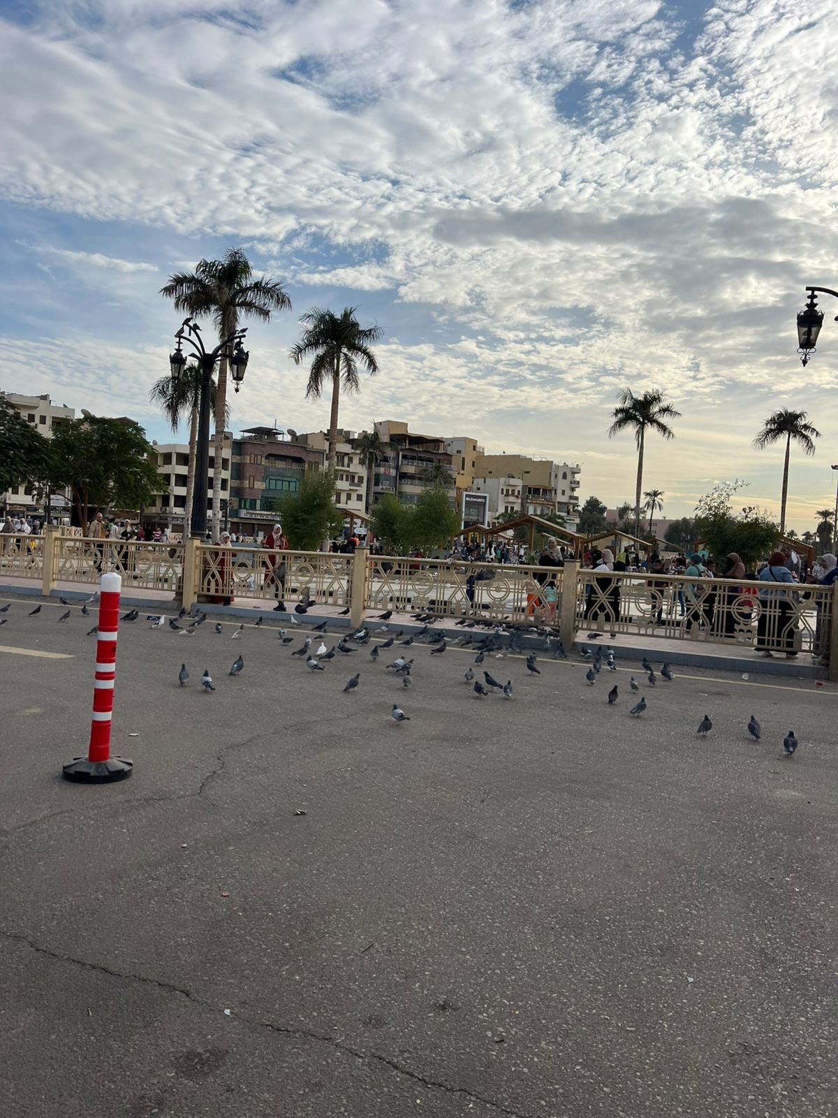 WhatsApp Image 2025-07-24 at 16.25.45_a39acf33